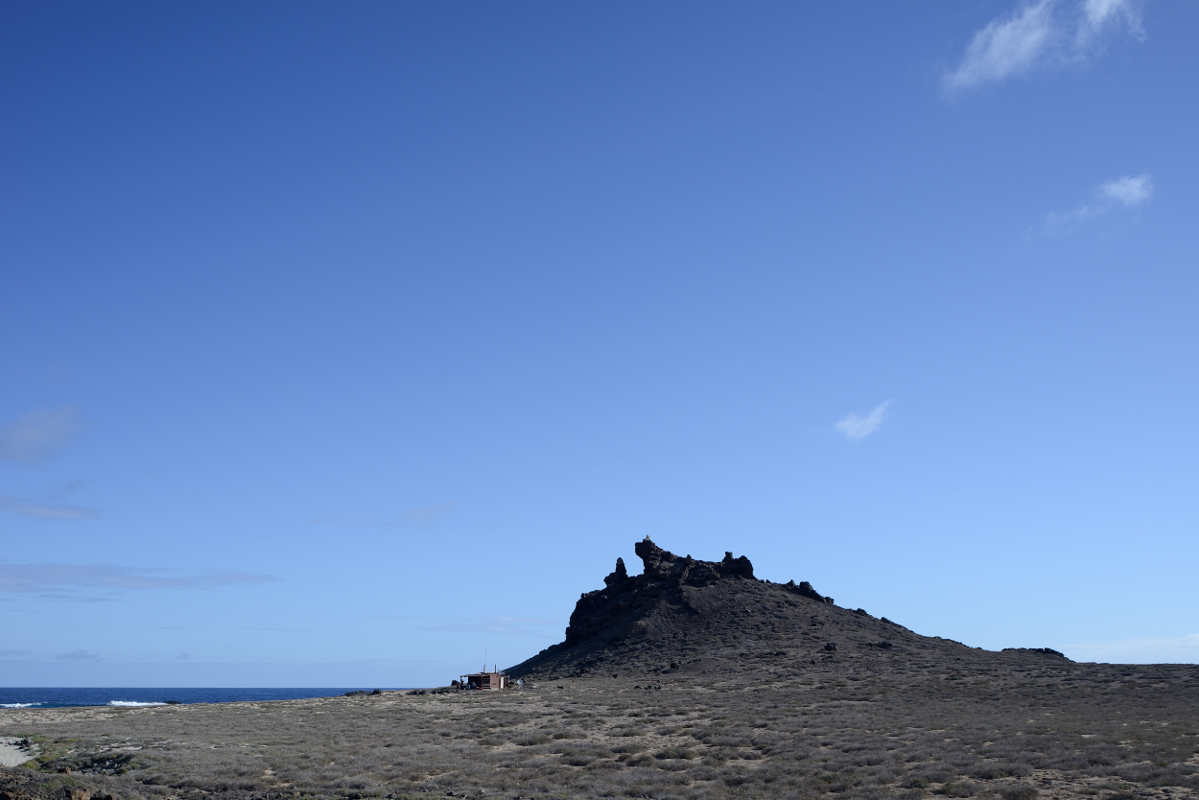63 propostas no concurso das Ilhas Selvagens, Madeira