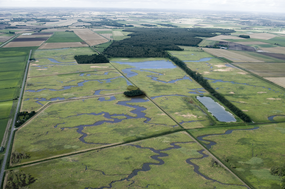 Imagem 1 - GREAT FEN VISITOR CENTER