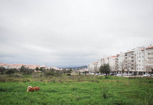 Parque Urbano Cruz do Montalv&atilde;o, Castelo Branco