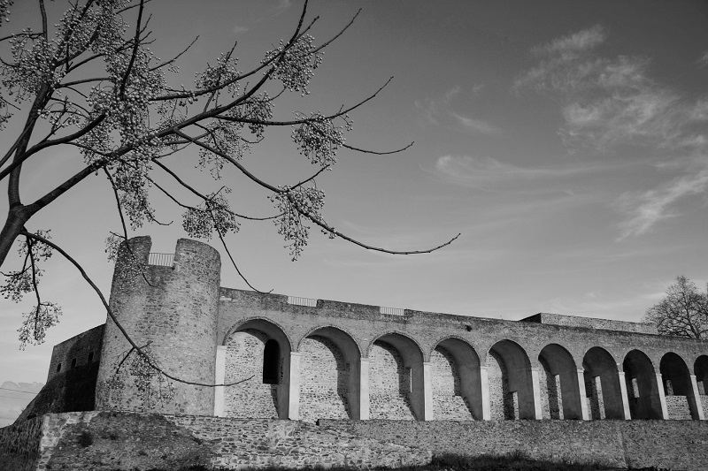 J&uacute;ri do concurso Castelo de Abrantes