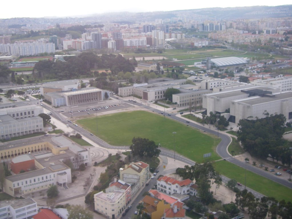 Concurso resid&ecirc;ncia universit&aacute;ria da ULisboa: resposta da OASRS aos esclarecimentos prestados pelo J&uacute;ri 