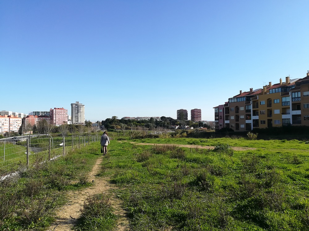 P&oacute;lo de Sa&uacute;de de Carcavelos