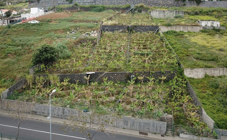 Vencedores do concurso para o Centro de Acolhimento de Crian&ccedil;as no Funchal conhecidos a 31 de Julho
