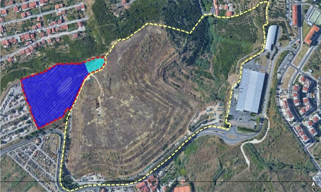 Abrigo para can&iacute;deos e fel&iacute;deos, Lisboa - ANALISADO