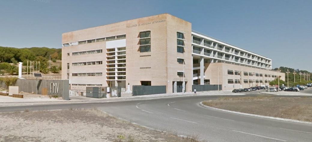Reabilita&ccedil;&atilde;o da Faculdade de Medicina Veterin&aacute;ria da Universidade de Lisboa - ANALISADO