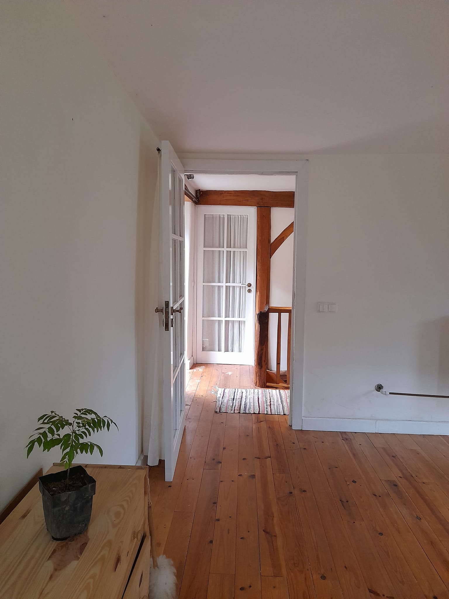Imagem 3 - Reabilita&ccedil;&atilde;o de habita&ccedil;&atilde;o Unifamiliar de xisto 